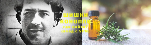 бошки Алексин