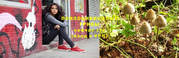 бошки Алексин