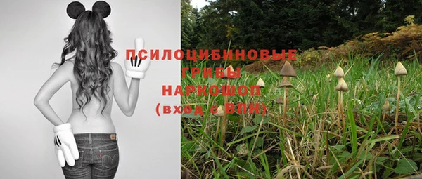 прущие грибы Абдулино