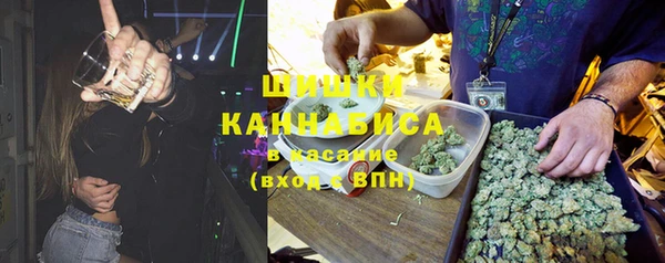 прущие грибы Абдулино
