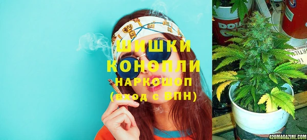 прущие грибы Абдулино