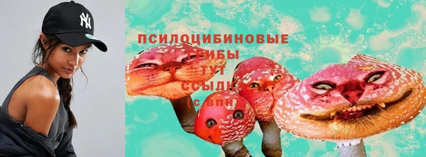 крисы Абинск