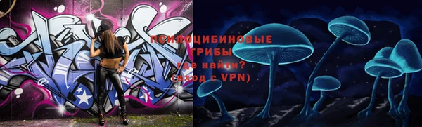 прущие грибы Абдулино