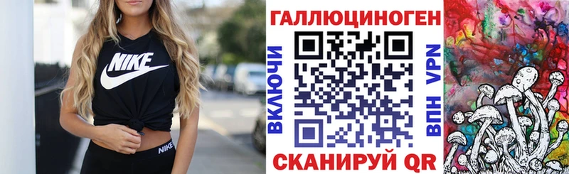 Псилоцибиновые грибы Psilocybe даркнет сайт Касли