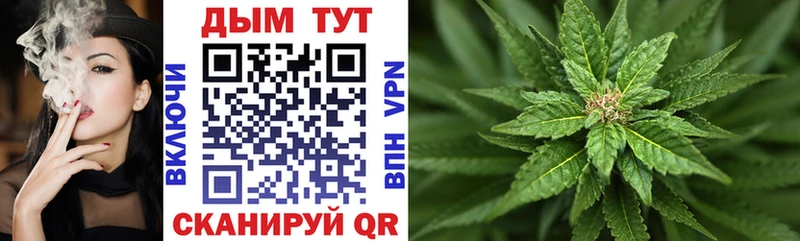 Бошки марихуана THC 21%  Касли 